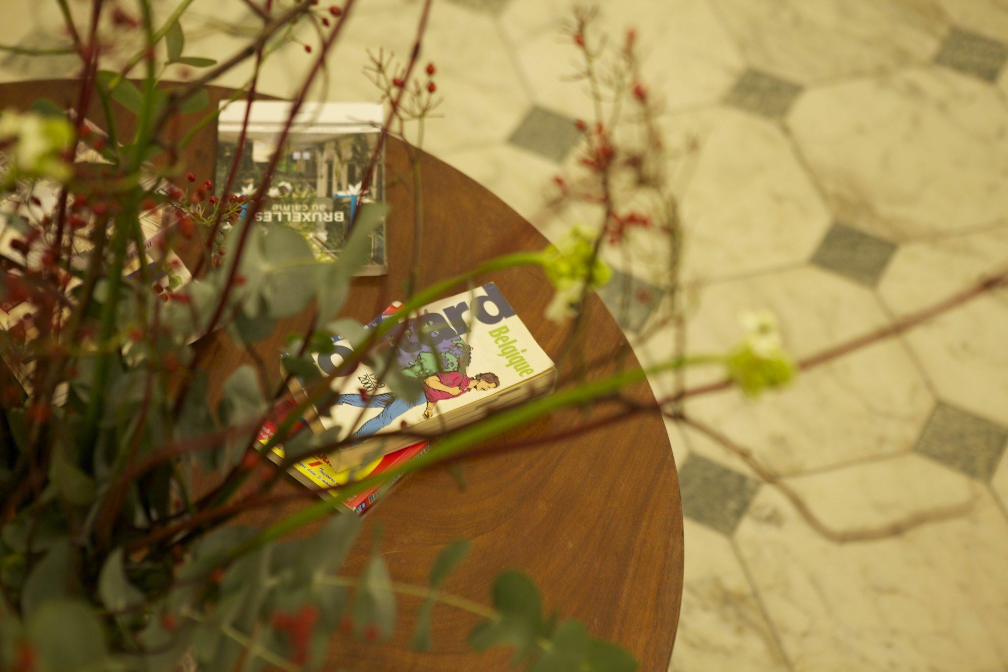 B ＆ B リビング イン ブリュッセル アーバン B ＆ B Etterbeek エクステリア 写真